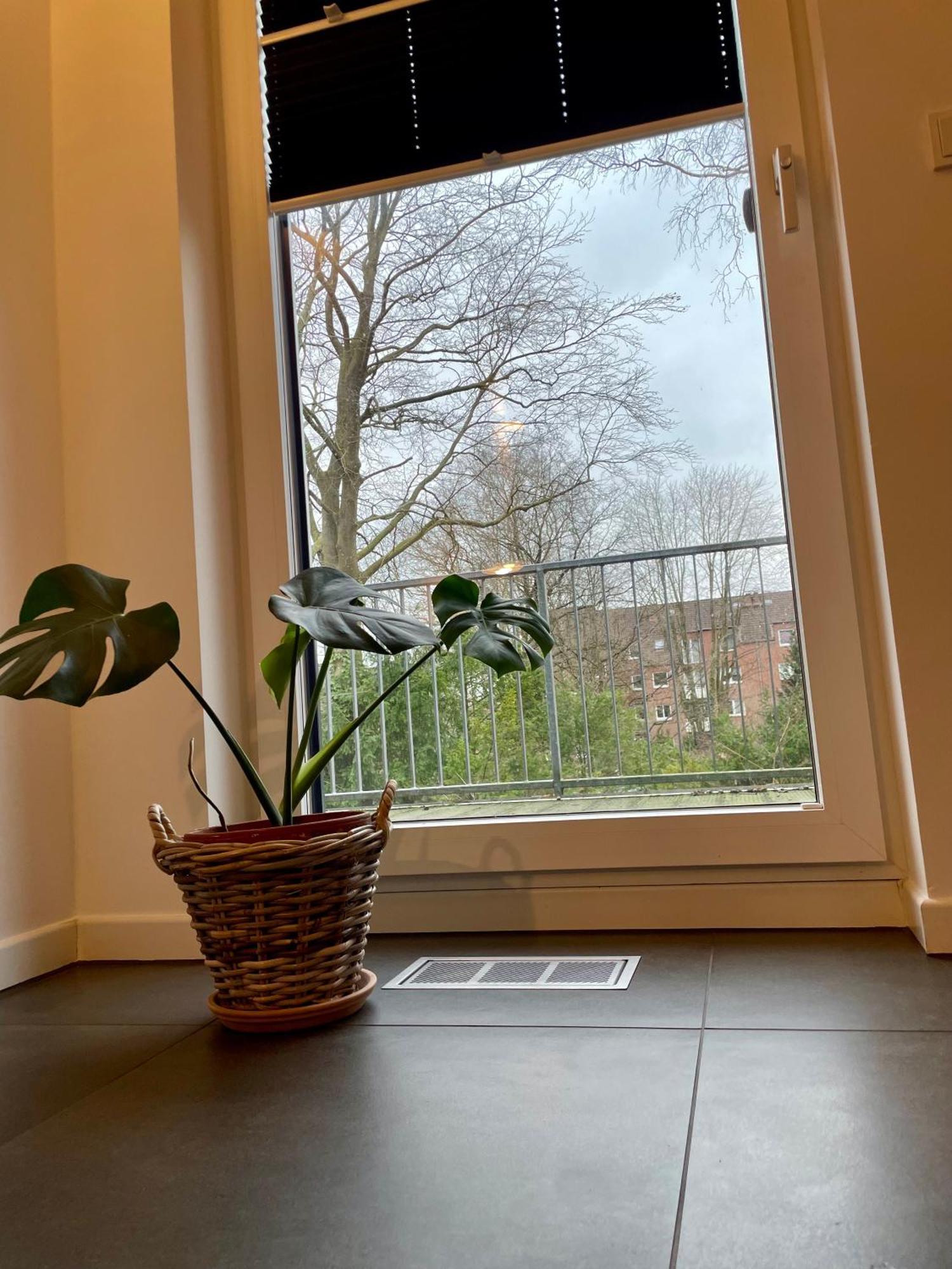 Modernes Holzhaus Im Skandinavischen Stil Mit Sauna, Garten Und 2 Katzen 诺德施泰特 外观 照片